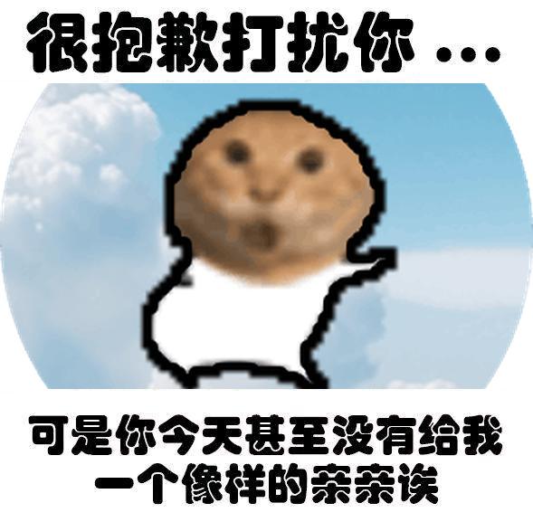 meme decent_kiss